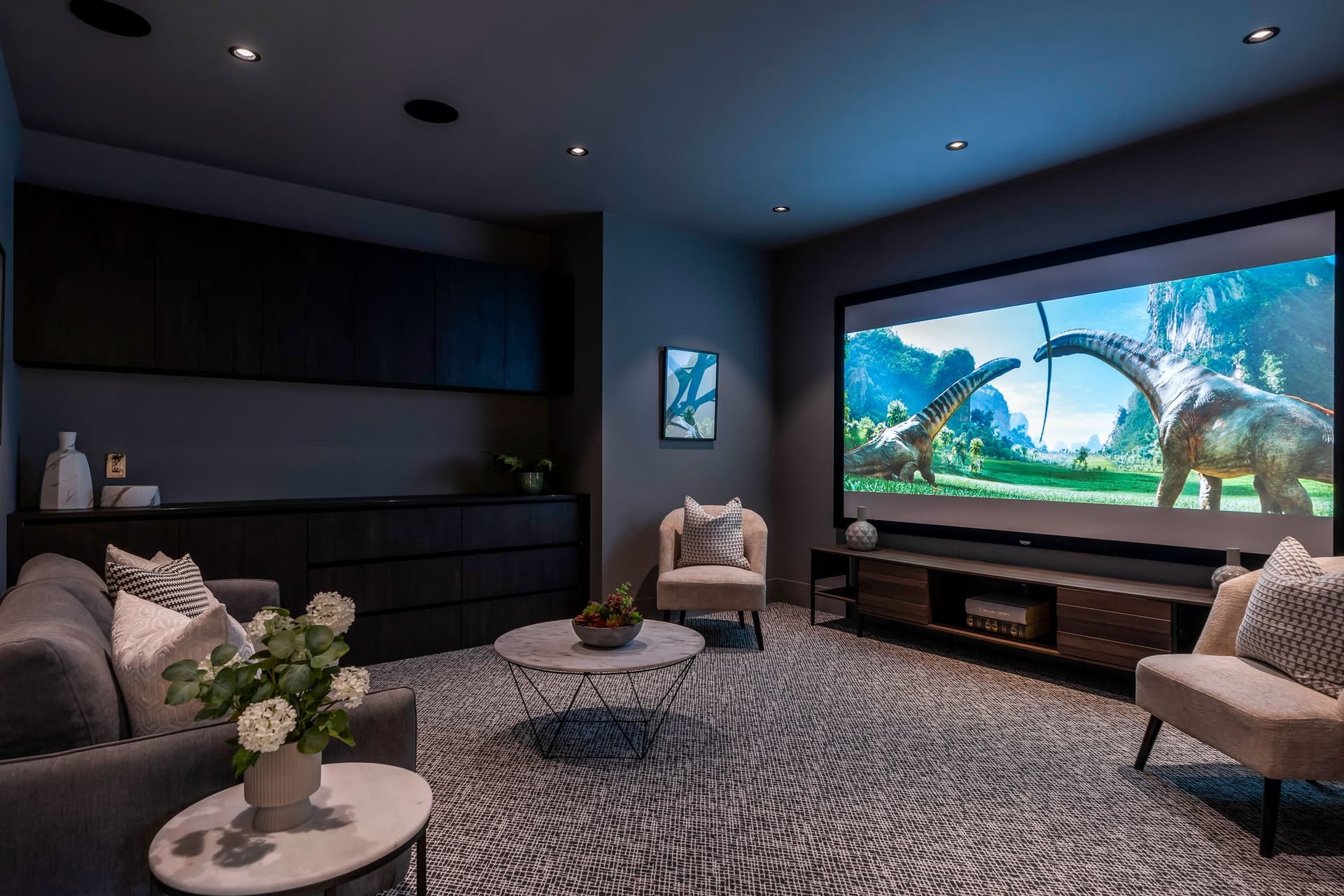 Theatre Room Design